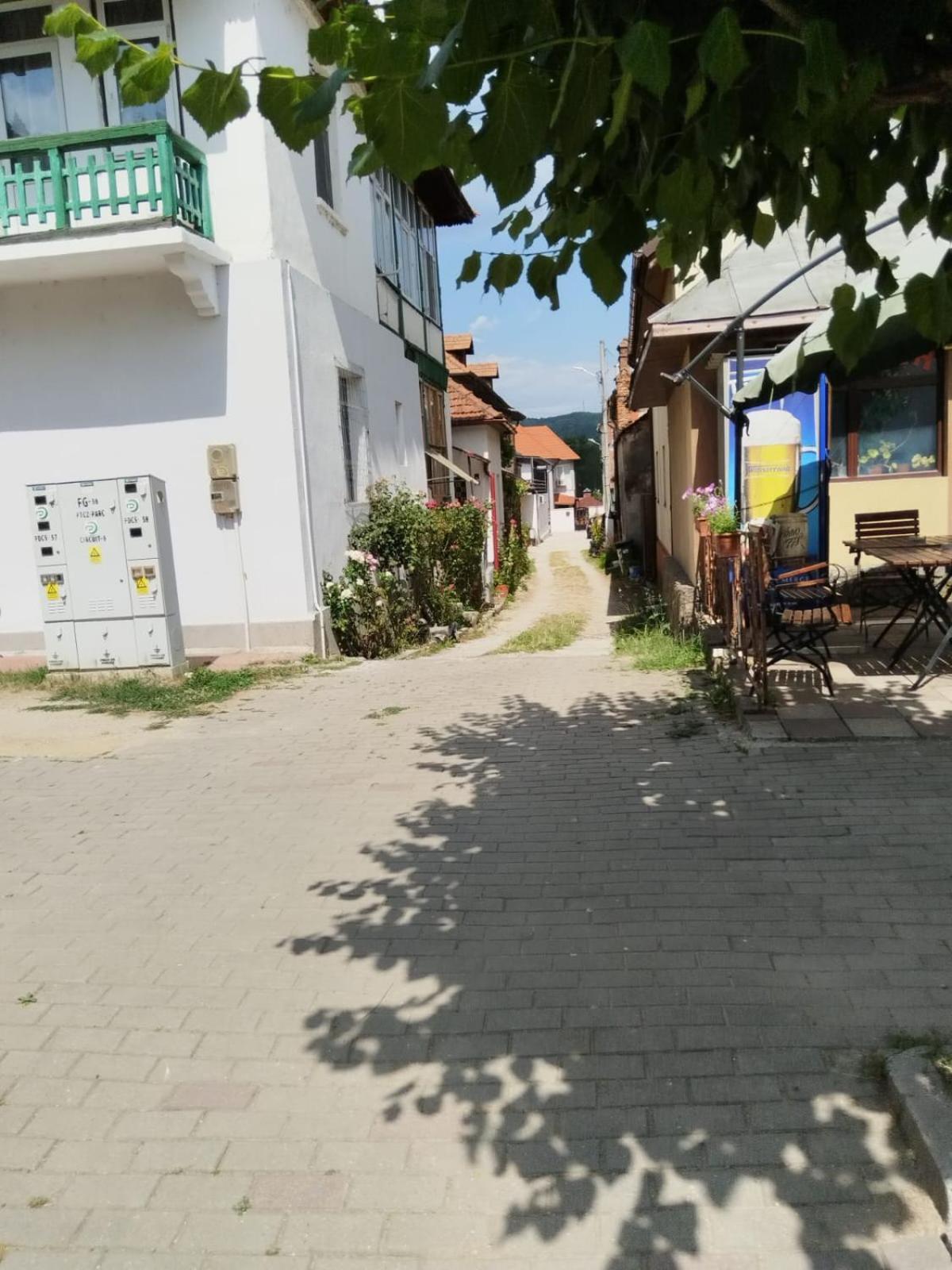 URBANIST Guest House Călimăneşti Extérieur photo